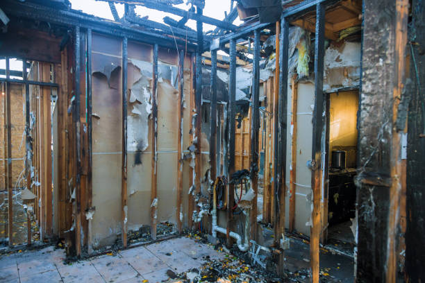 Professional Fire Damage Removal technician working in Jasper, AL